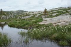 Preikestolen