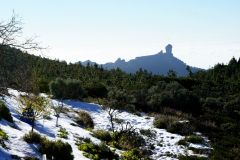 Ausflug in den Schnee