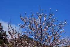 Auf dem Weg zum Teide