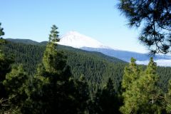 Teide von der Ferne