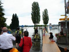 Hochwasser am Untersee (Bodensee)