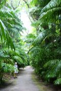 Furnas Park