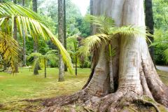 Furnas Park