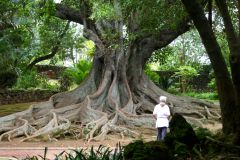 Jardim Antonio Borges