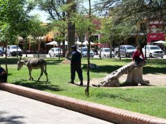 Cafayate