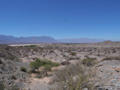 Hochebene bei Cafayate