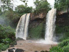 Iguazu Adam Eva