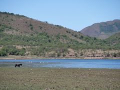 Zwischen Salta und Tilcara Campo Alegre