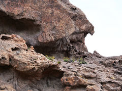 Caleta Horno