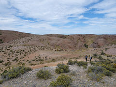 Caleta Horno