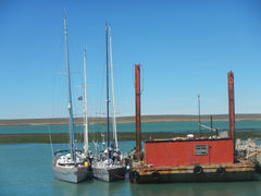 Puerto Deseado mit Obelix, Pazzo und Lucipara2