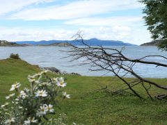 im Nationalpark Tierra del Fuego Bahia Ensenada Zaratiegui