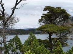 im Nationalpark Tierra del Fuego Bahia Lapataia