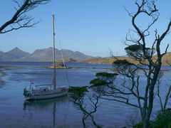 Maramalda in der Caleta Maxwell