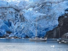 Glaciar Tempanos