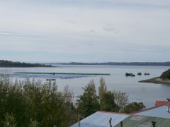 Chiloé Muschel- und Fischfarm