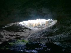 Cueva del Milodon