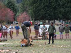 Holzfäller Wettbewerb