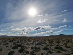 patagonische Steppe