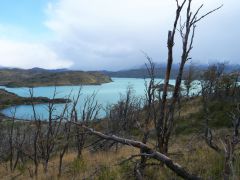 Torres del Paine