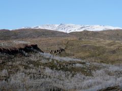 Torres del Paine