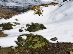 Torres del Paine