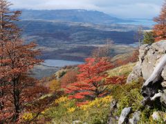 Torres del Paine