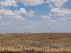 Titicaca