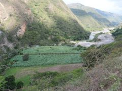 Zwischen Zaruma und Vilcabamba