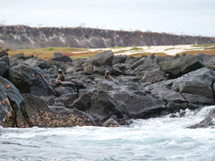 Isla Mosquera