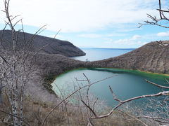 Isla Isabella Lago Darwin