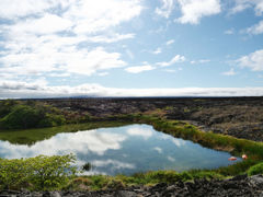 Isla Isabella Punta Moreno