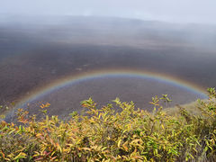 85 Isla Isabella Volcan Chico