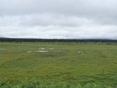 zwischen Anchorage und dem Denali Nationalpark