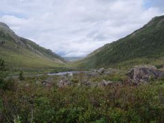 Denali Nationalpark