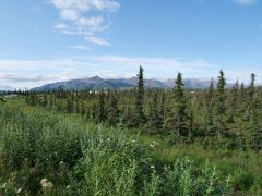 Denali Nationalpark