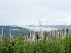 Denali Nationalpark