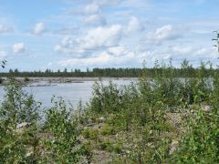 Tanana River