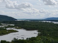 Tanana River