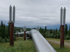 Trans Alaska Pipeline