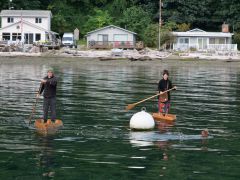 Camano Island Paddleshell Manson Tracy