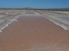 San Evaristo Saline