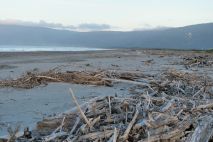 Strand bei Westport