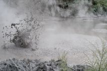 Wai a Tapu Mud Pool