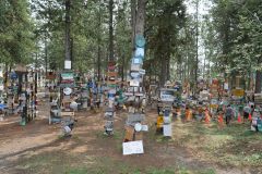 Watson Lake Sign Post Forest