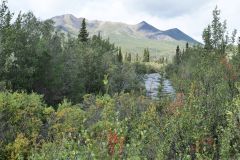 Dempster Hwy