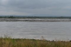 Tanana River