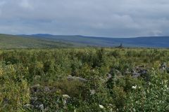 Dalton Hwy