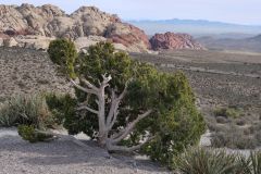 Red Rock Park