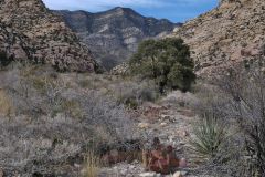 Red Rock Park